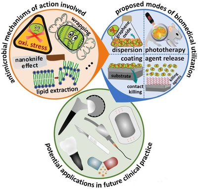 石墨烯与细胞技术 抗菌纳米医学领域的交汇与未来展望