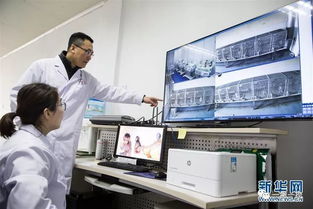 首个体细胞克隆猴在中国诞生 新药研发迈入“加速度”时代，细胞技术双轮驱动未来医学