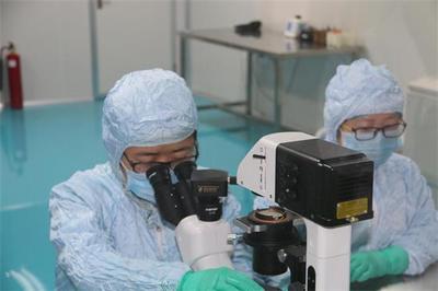 解码生命密钥 廊坊康宝汇泰以“种子细胞”技术领航医学前沿