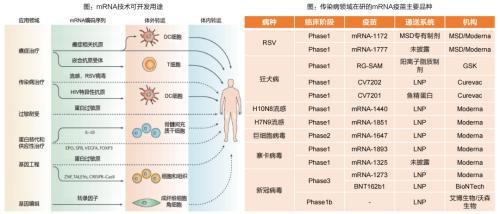 细胞技术 掘金近5000亿蓝海，把握前沿领域的十倍股机遇